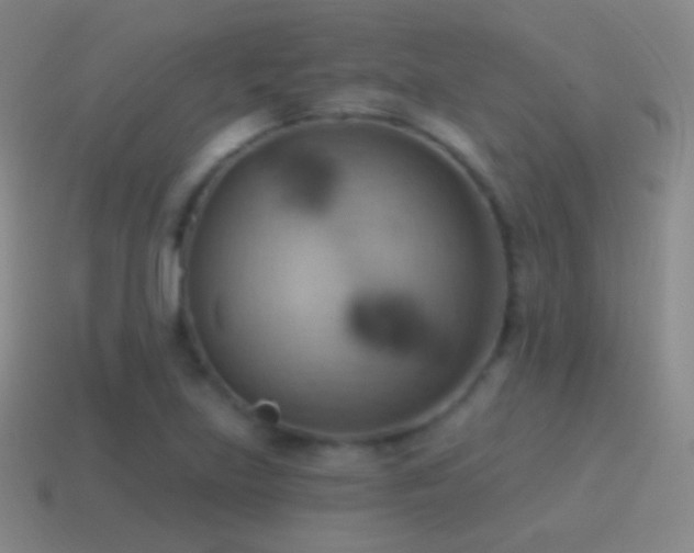 X0000115591219200911101232