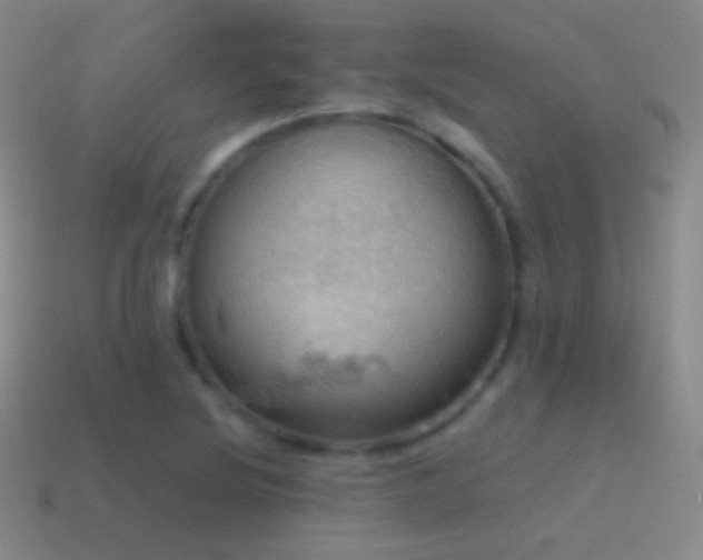 X0000115591220200911101232