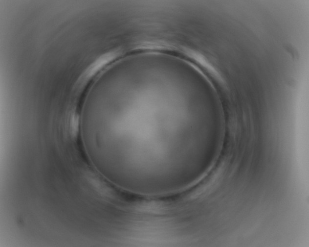 X0000115591221200911101232