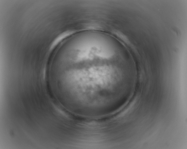 X0000115591222200911101232