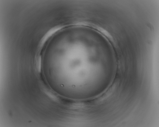 X0000115591223200911101232