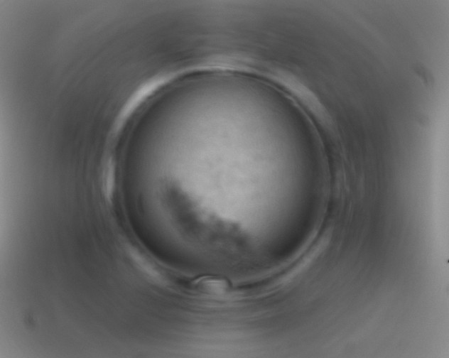 X0000115591224200911101232