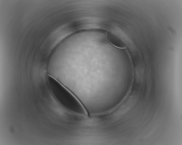 X0000115591225200911101232