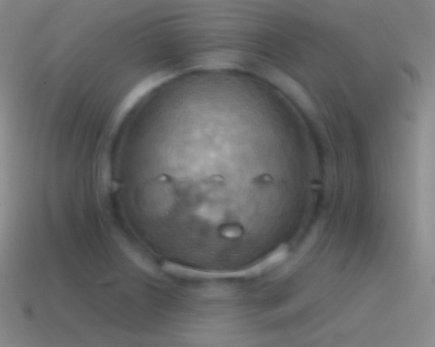 X0000115591226200911101232