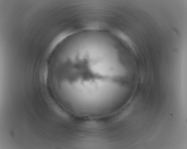 X0000115591227200911101232