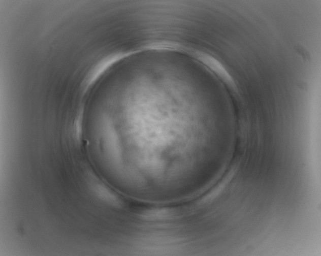 X0000115591228200911101232