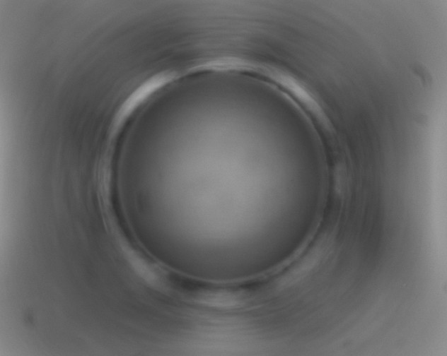 X0000115591229200911101232