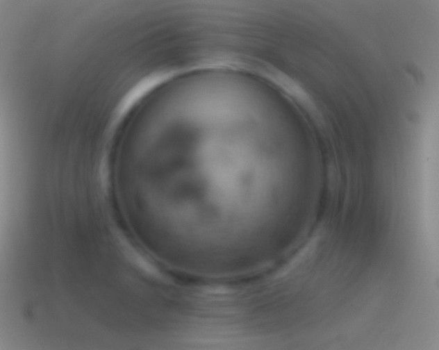 X0000115591230200911101232