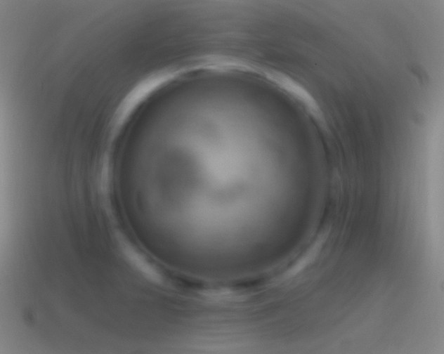 X0000115591231200911101232