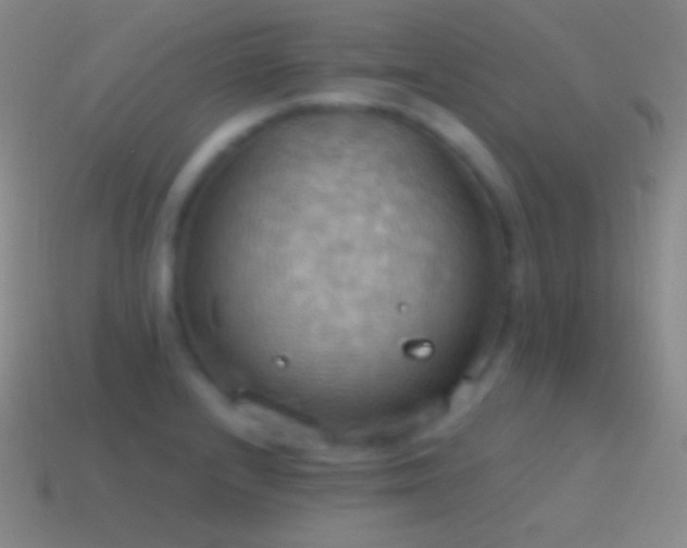 X0000115591232200911101232