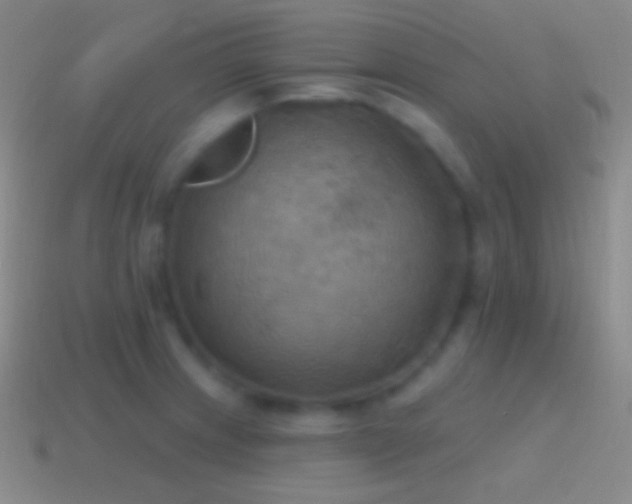 X0000115591233200911101232