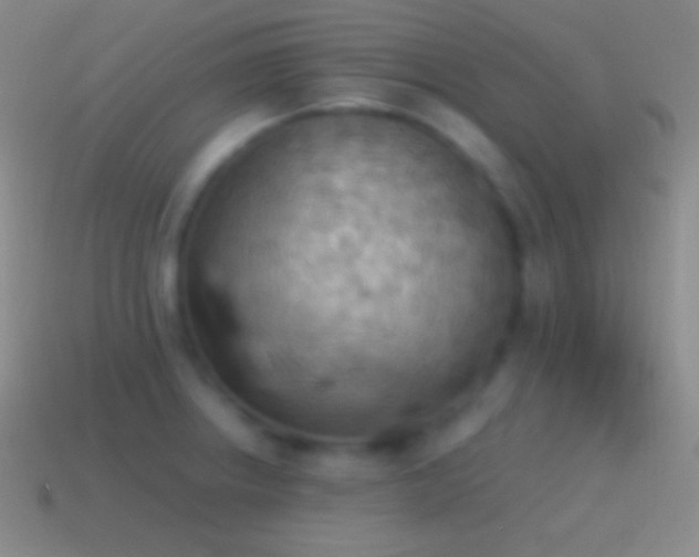 X0000115591234200911101232