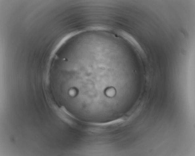 X0000115591236200911101232