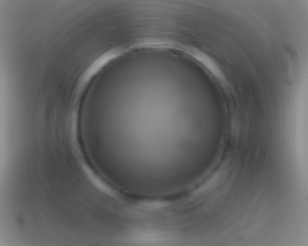 X0000115591237200911101232