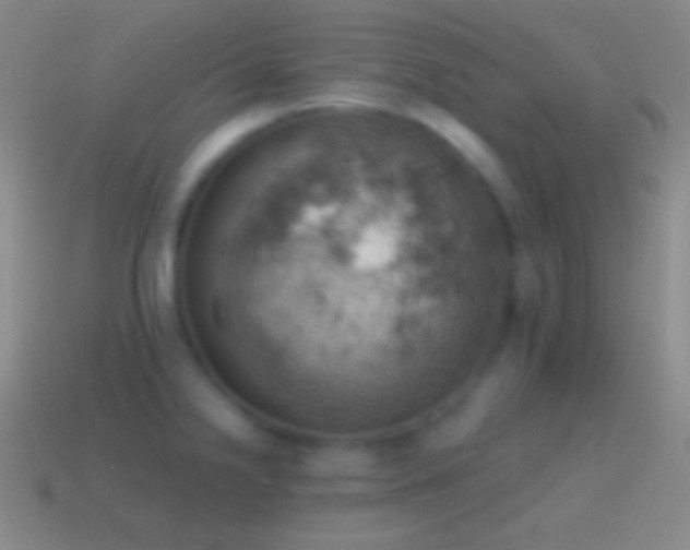 X0000115591238200911101232