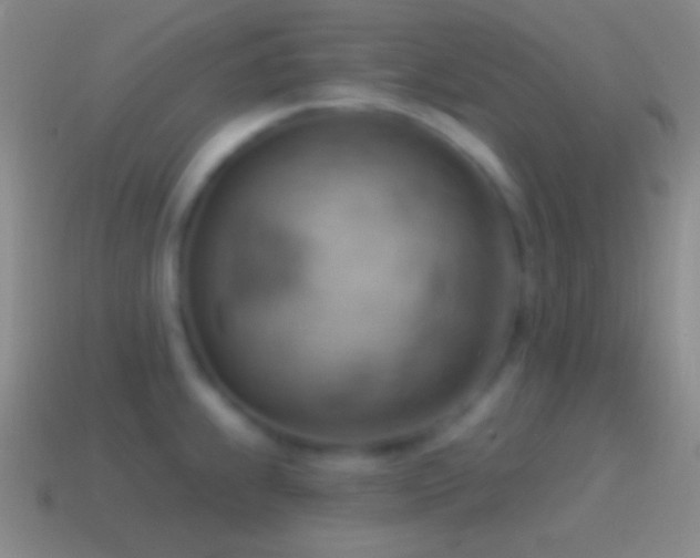 X0000115591239200911101232