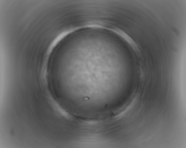 X0000115591240200911101232