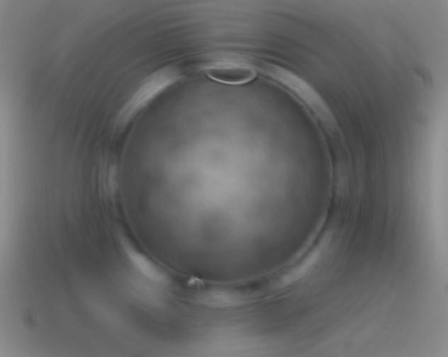 X0000115591241200911101232