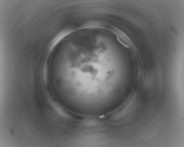 X0000115591242200911101232