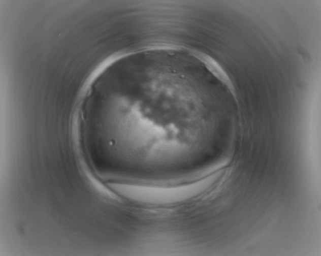 X0000115591243200911101232