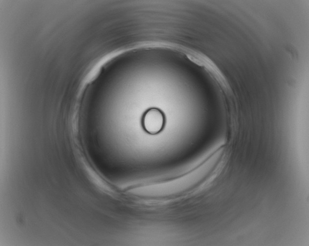 X0000115591244200911101232