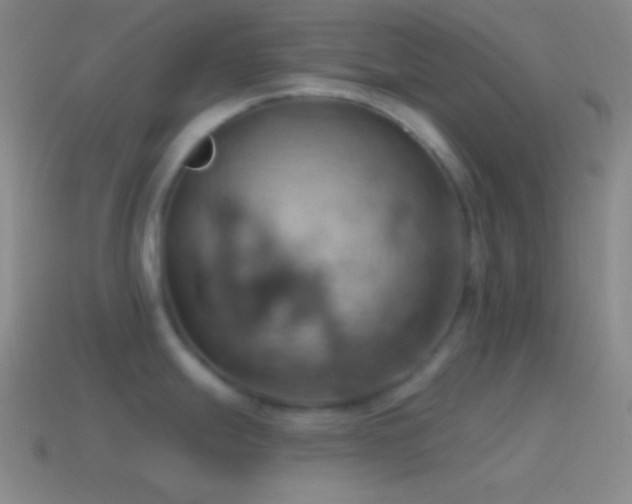 X0000115591247200911101232