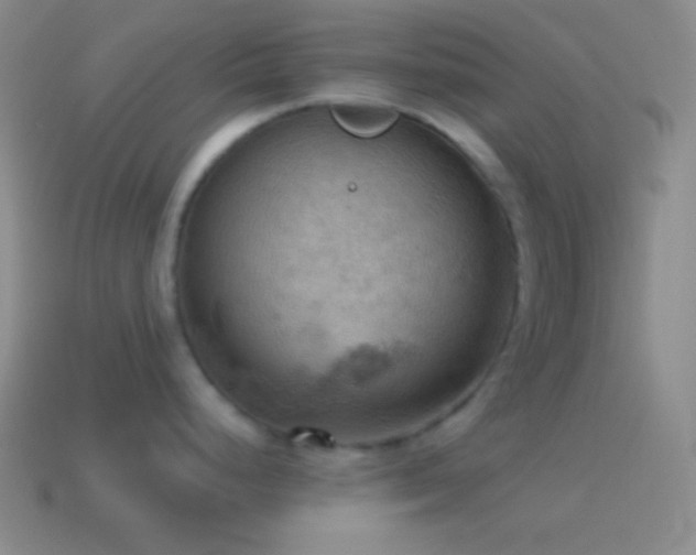 X0000115591248200911101232