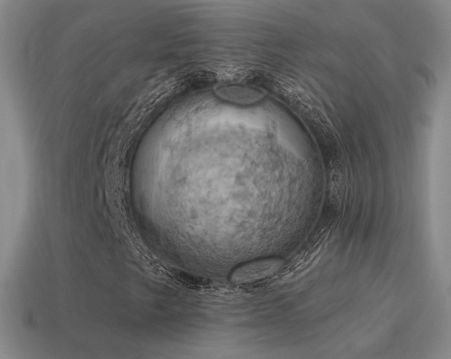 X0000115591249200911101231