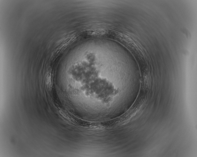 X0000115591250200911101231