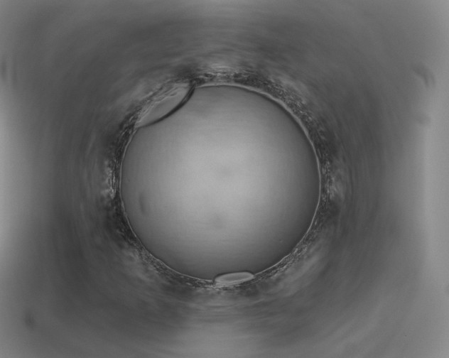 X0000115591253200911101231