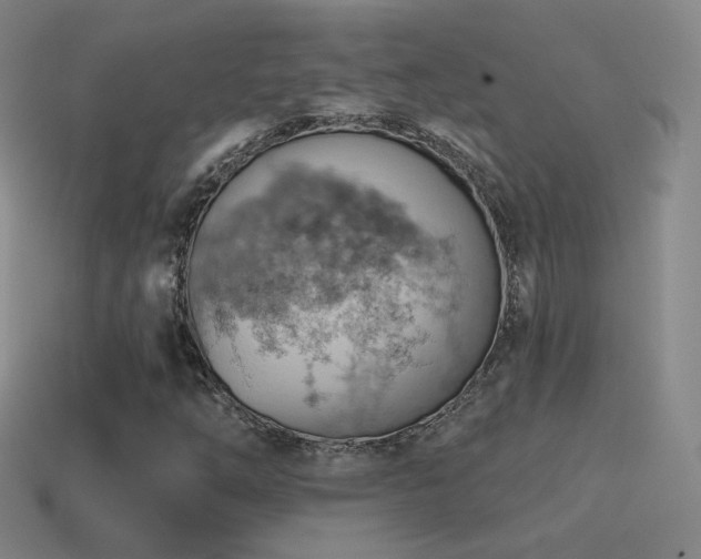 X0000115591254200911101231