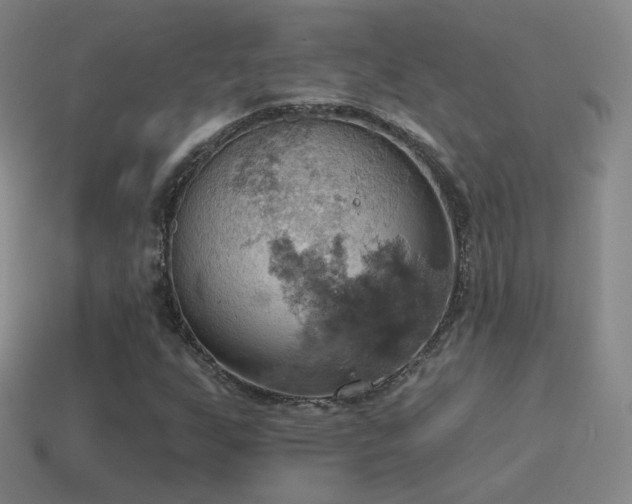 X0000115591255200911101231