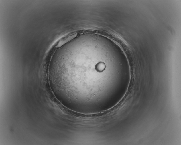 X0000115591256200911101231