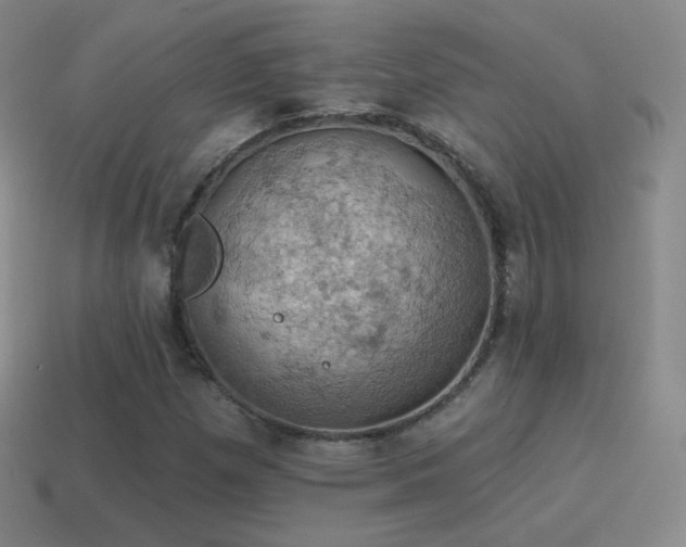 X0000115591257200911101231