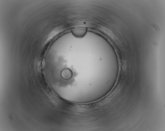 X0000115591258200911101231