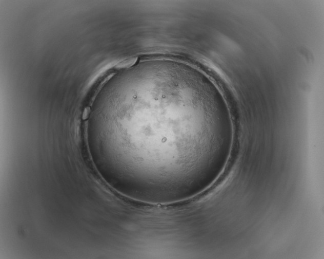 X0000115591259200911101231