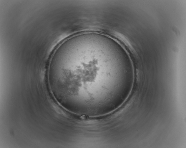 X0000115591260200911101231