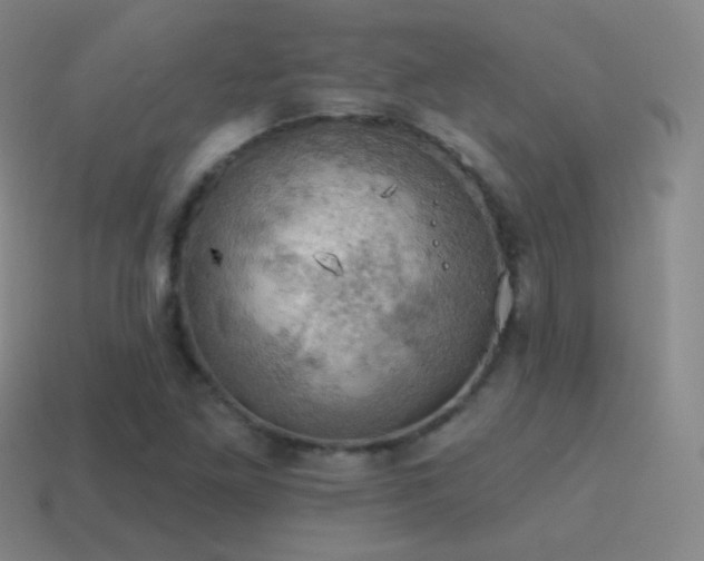 X0000115591261200911101231