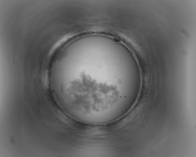 X0000115591262200911101231