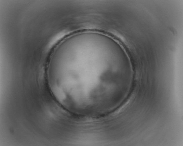 X0000115591263200911101231