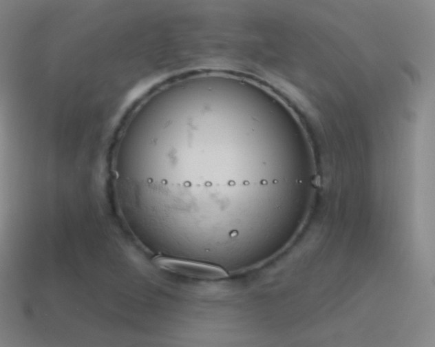 X0000115591264200911101231