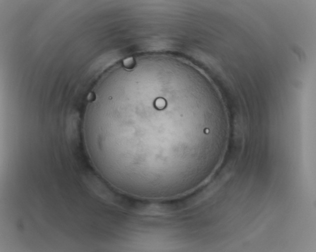 X0000115591265200911101231