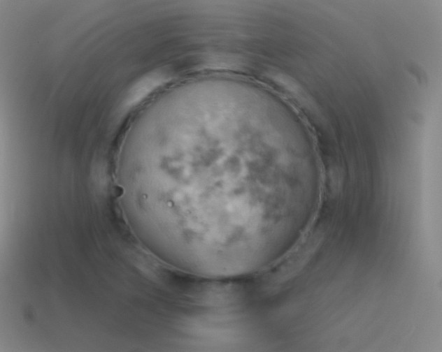 X0000115591266200911101231