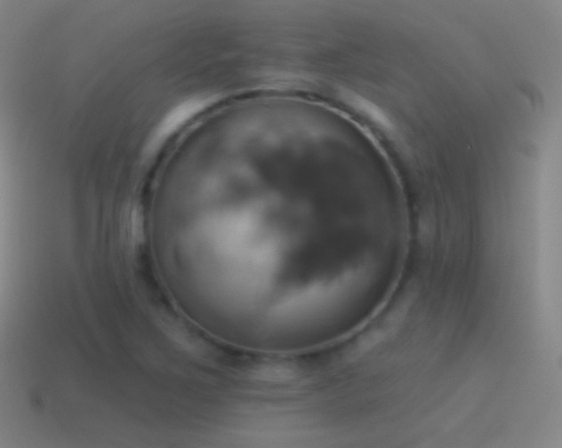 X0000115591267200911101231