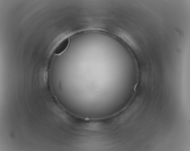 X0000115591268200911101231