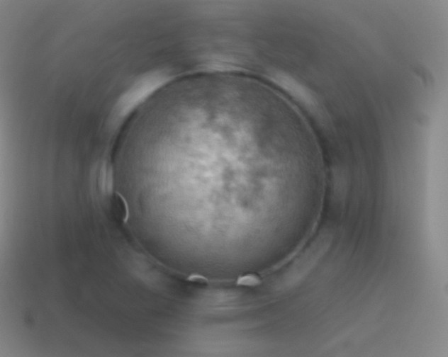 X0000115591269200911101231