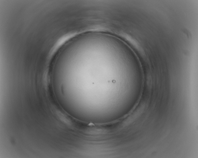 X0000115591270200911101231