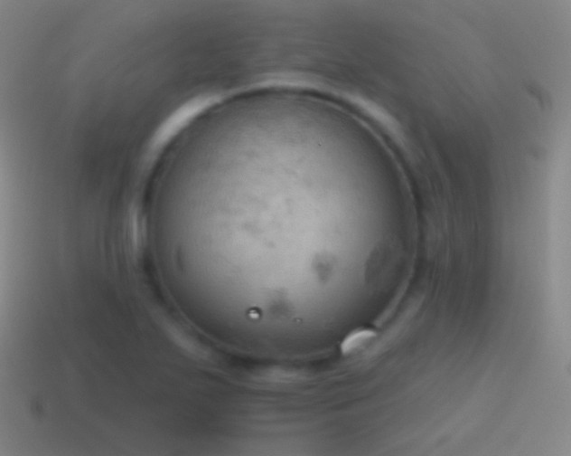 X0000115591271200911101231