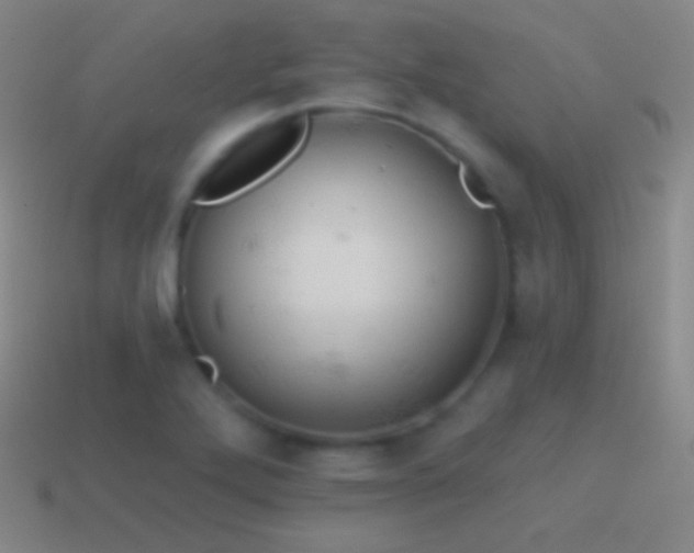 X0000115591272200911101231