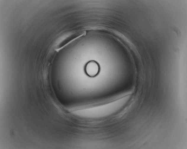 X0000115591273200911101231